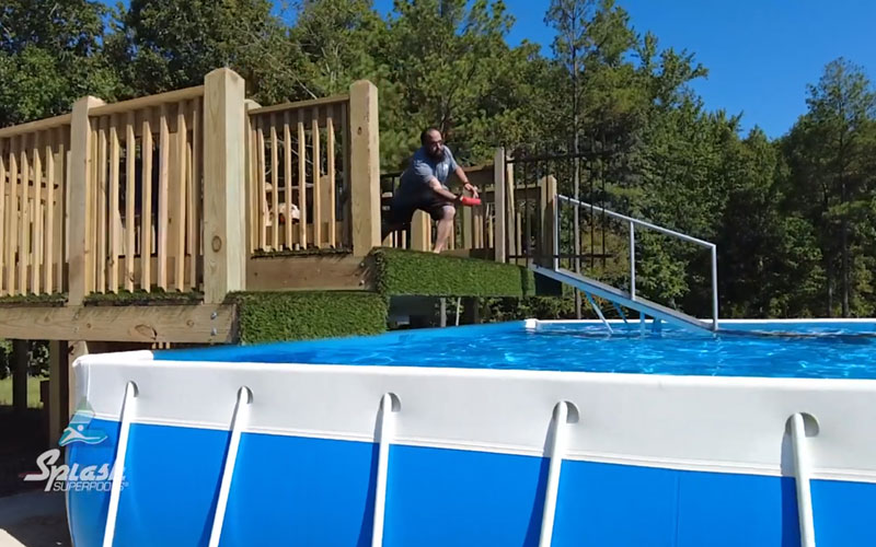 Dog Pool (2)